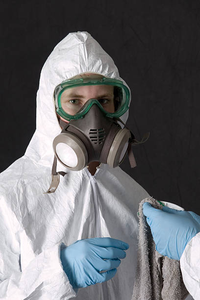 Best Emergency Mold Remediation  in Minor, AL